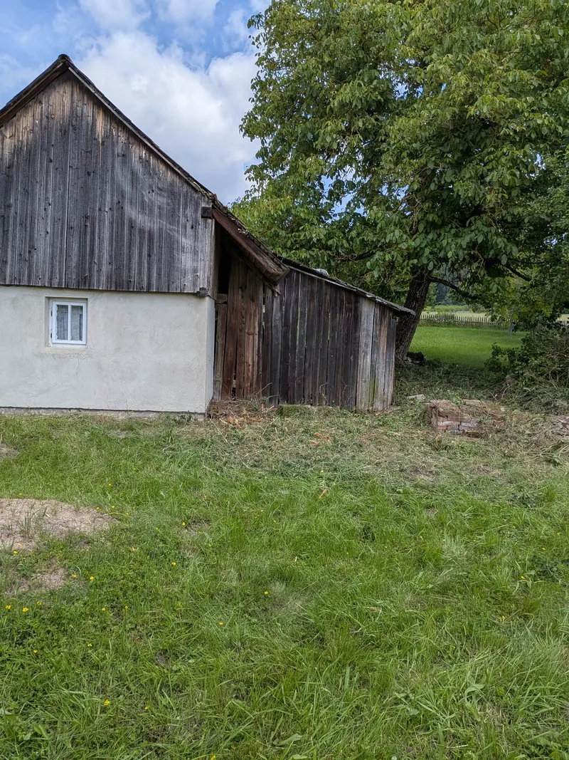 Odkrytá hospodářská stavba a zpřístupněný okolní prostor po odstranění přerostlé vegetace.
